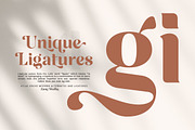 Atlas Grove-Alternates and Ligatures, a Serif Font by Zane Studio (Thumbnail 7 of 22)