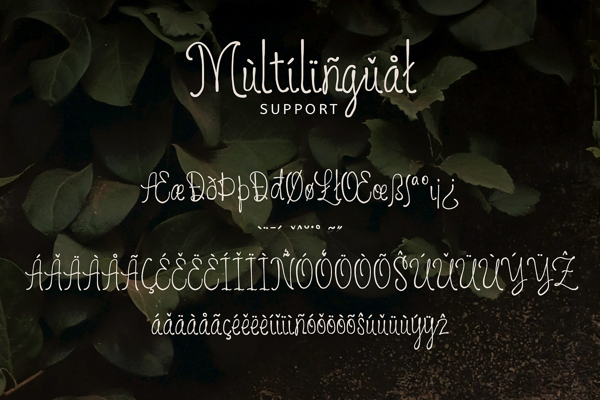 Poet Club - Warm Marker Script, a Script Font by Inviline.co (Photo 11 of 12)