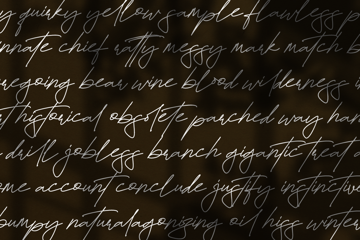 Fayetteville Signature Business Font, a Script Font by KennedyStudio (Photo 4 of 11)