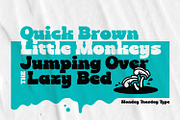 Monday Tuesday - Retro Type, a Slab Serif Font by ikiiko (Thumbnail 3 of 6)