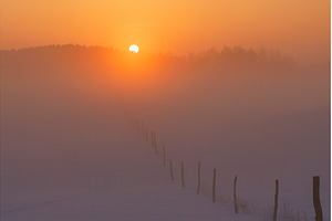 Cold winter in Europe .Misty sunny, a Nature Photo by Lukas Jonaitis SHOP