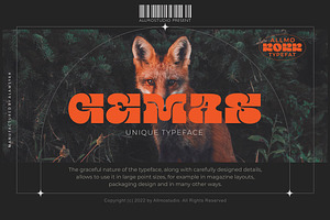 Gemas, a Serif Font by Allmostudio