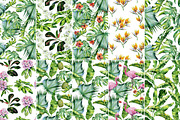 Watercolor tropics, a Pattern Graphic by Anna Myslivets Art (Thumbnail 10 of 12)