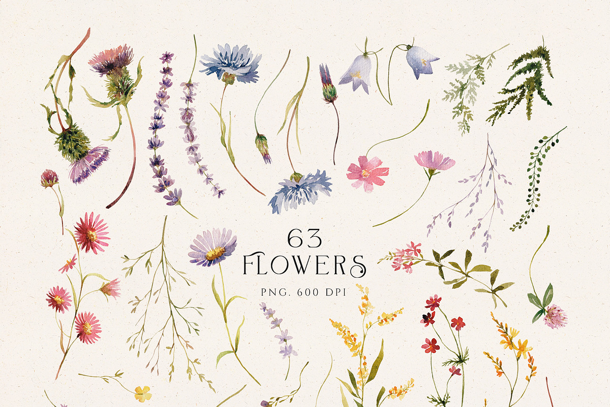 Fragrant garden-great watercolor set, a Decorative Illustration by Pamyatka Shop (Photo 14 of 24)