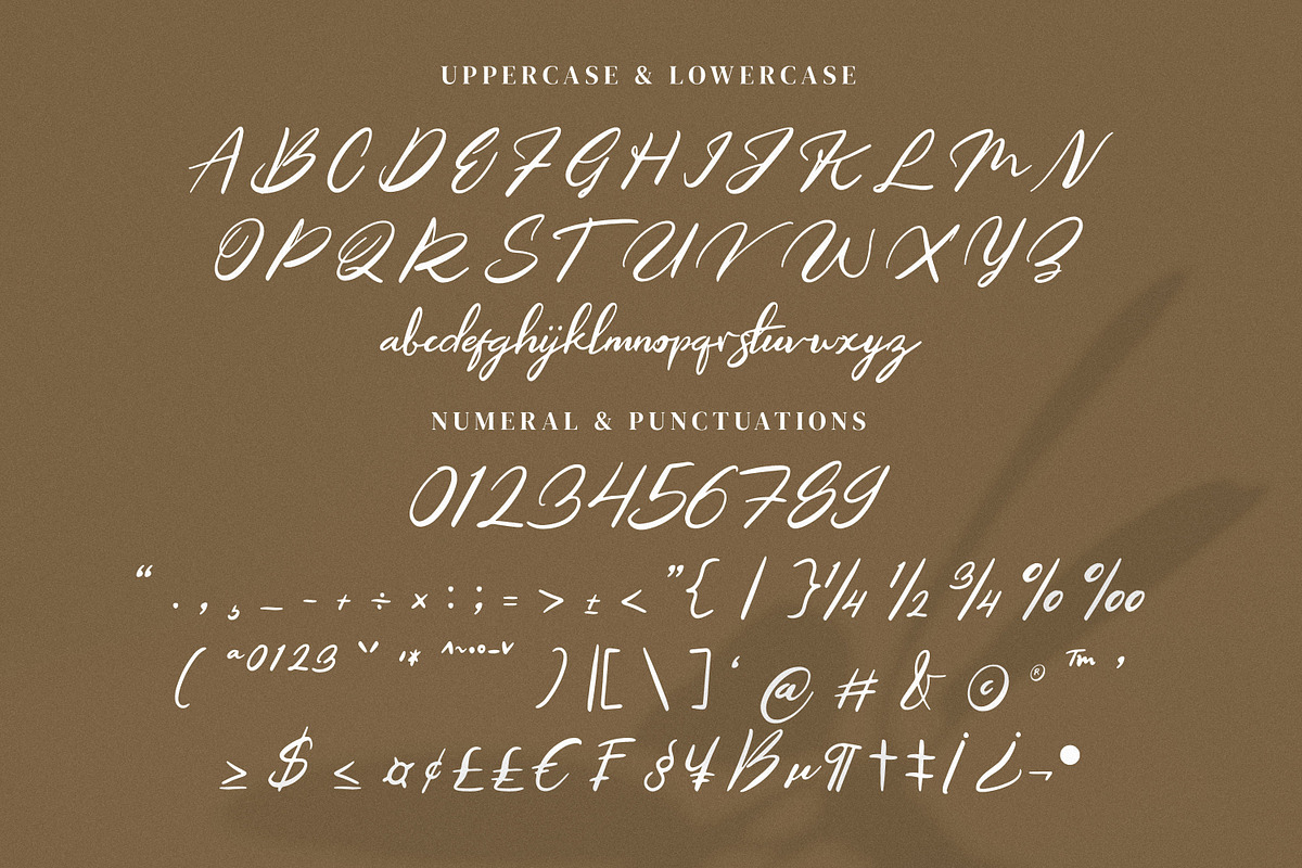 Luciena, a Font by Goresan Studio (Photo 9 of 14)