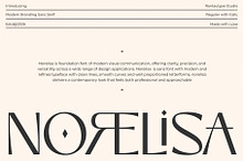 Norelisa Modern Branding Sans Font