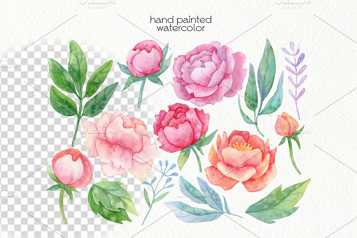 Watercolor Flowers Bundle, an Illustration by OllyKo Art (Photo 7 of 15)