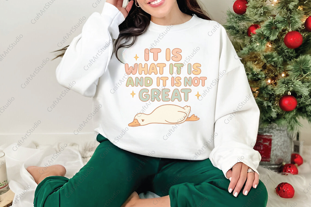 It Is What It Is and It Is Not Great, an Illustration by CraftArtStudio (Photo 4 of 4)