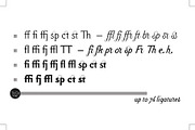 Falace, a Serif Font by TeGeType foundry (Thumbnail 5 of 7)