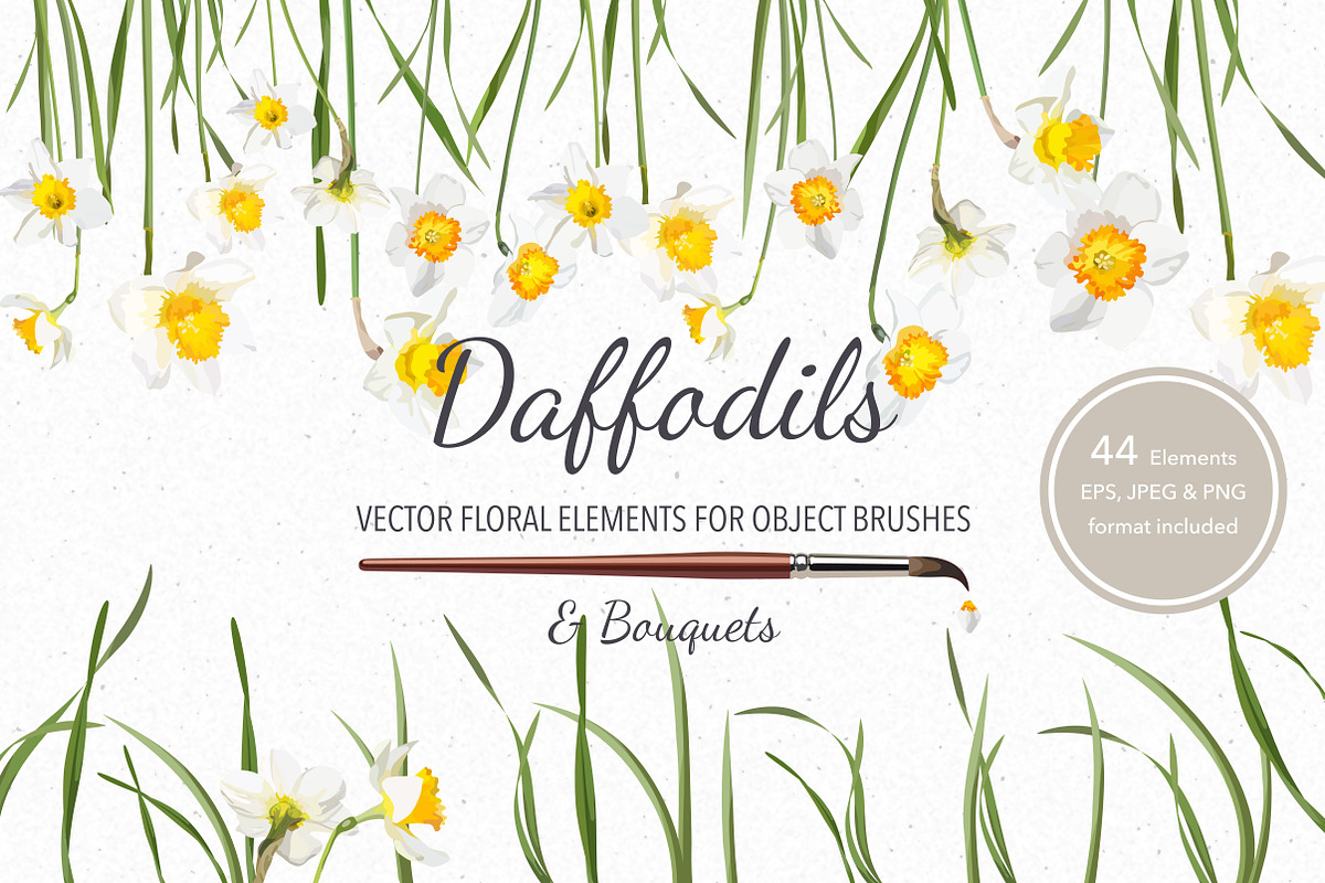 Vector object brushes. Daffodils