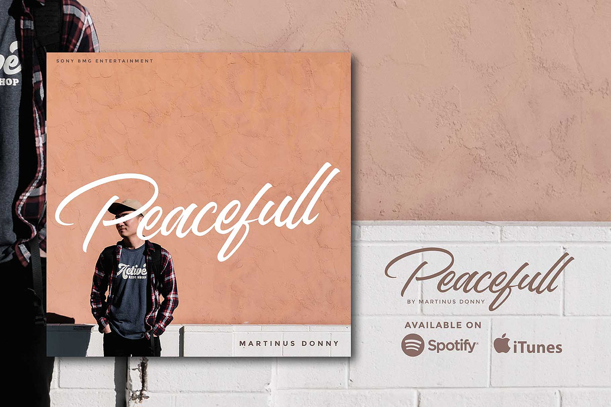 Shinola Handwritten Script preview 4