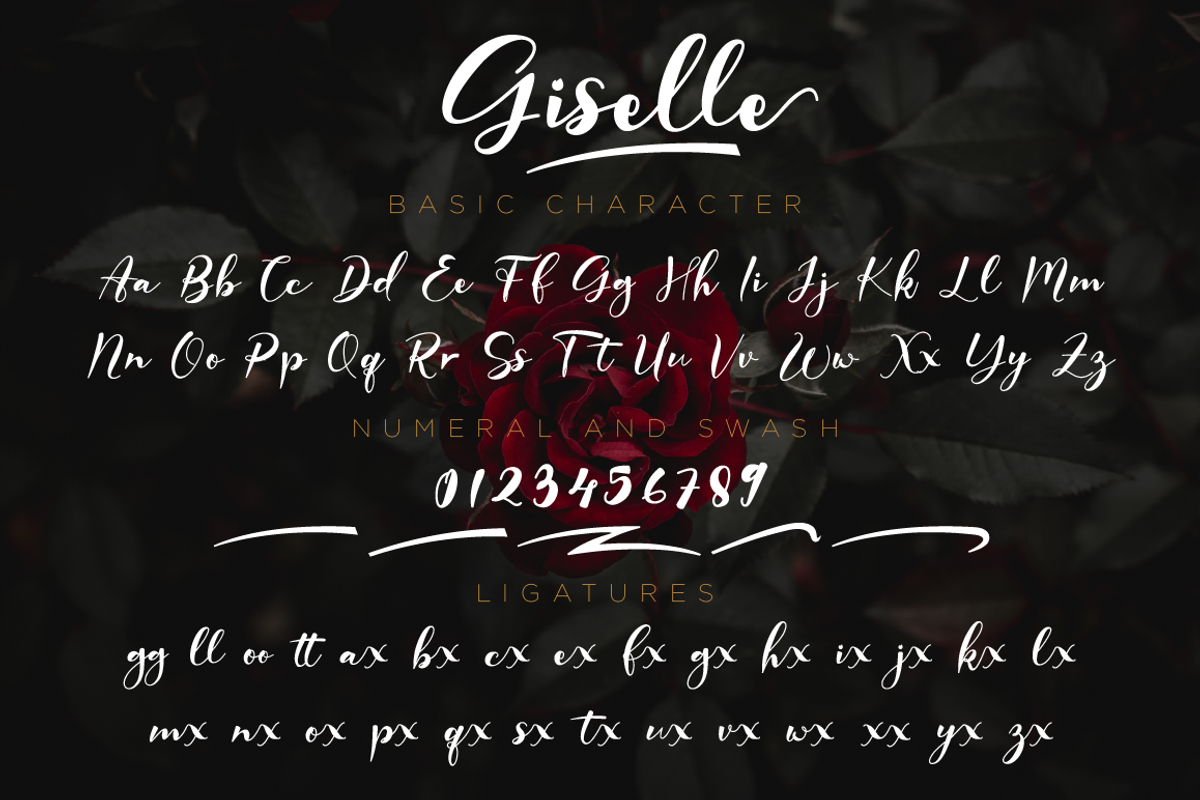 Giselle - Elegant Script Font, a Script Font by Nissa Studio (Photo 11 of 12)