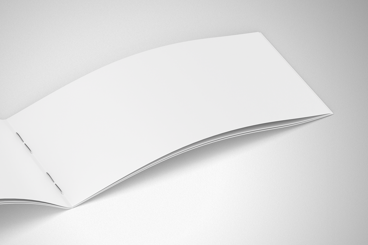 DL Landscape Brochure Mockup, a Product Mockup by Mockupdaddy (Photo 3 of 15)