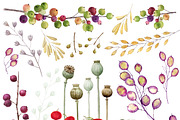 Autumn Herbarium Watercolor Clipart, a Background Graphic by Watercolor Clipart (Thumbnail 2 of 4)