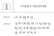 Mosseta Elegant Ligature Display, a Serif Font by RantautypeStudio (Thumbnail 8 of 15)