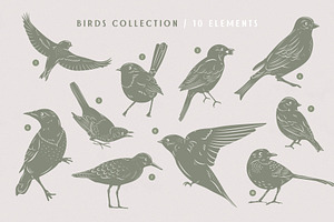 Birds & Blooms Graphics Toolkit