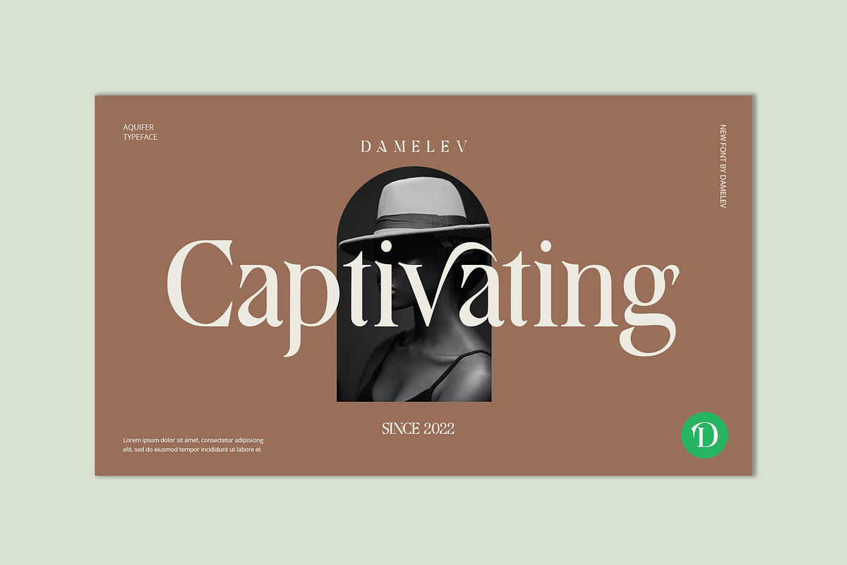 Aquifer, a Serif Font by Damelev (Photo 7 of 15)
