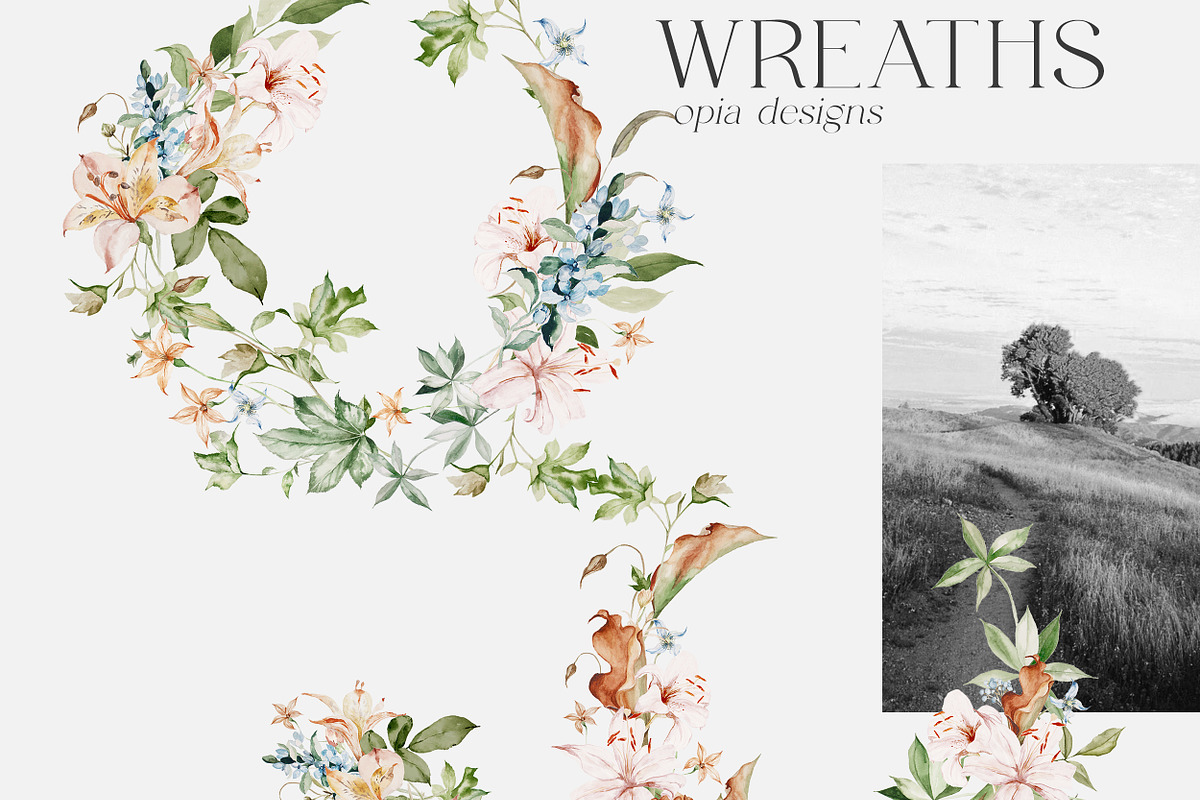 Jardin - Watercolor Botanicals, an Illustration by Isabelle Salem (Photo 9 of 9)