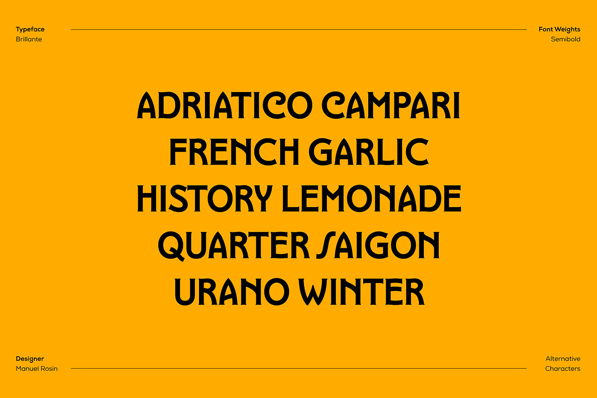 Brillante Typeface, a Serif Font by ManuelRosin (Photo 4 of 19)