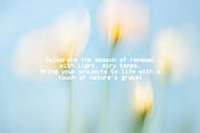 30 Soft Blurred Florals Backgrounds, a Background Graphic by lerinartstudio (Thumbnail 13 of 13)