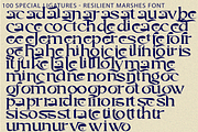 Resilient Marshes - Fantasy Font, a Serif Font by 177Studio (Thumbnail 8 of 8)