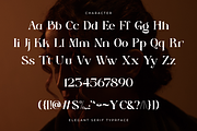 Ethereal Havena - Beauty Typeface, a Serif Font by RagamKata (Thumbnail 9 of 10)