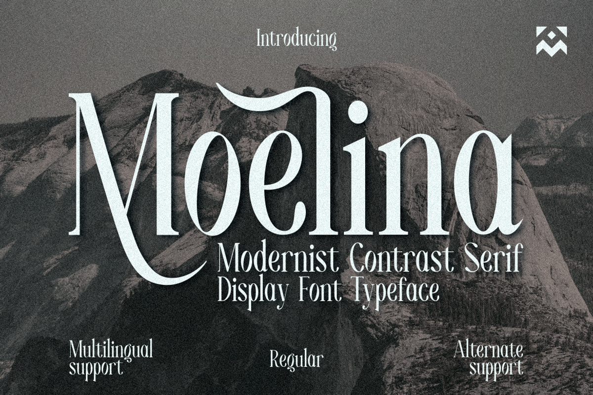 Moelina - A Modern Serif Font, a Serif Font by Marvadesign (Photo 1 of 8)