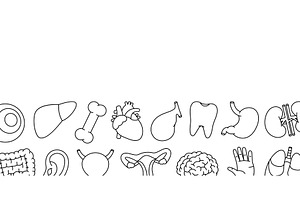 Human organs horizontal banner, an Object Illustration by GraphiShop