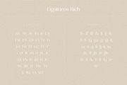 Celine - Delicate Playful Serif, a Serif Font by Bellevue Studio (Thumbnail 13 of 18)