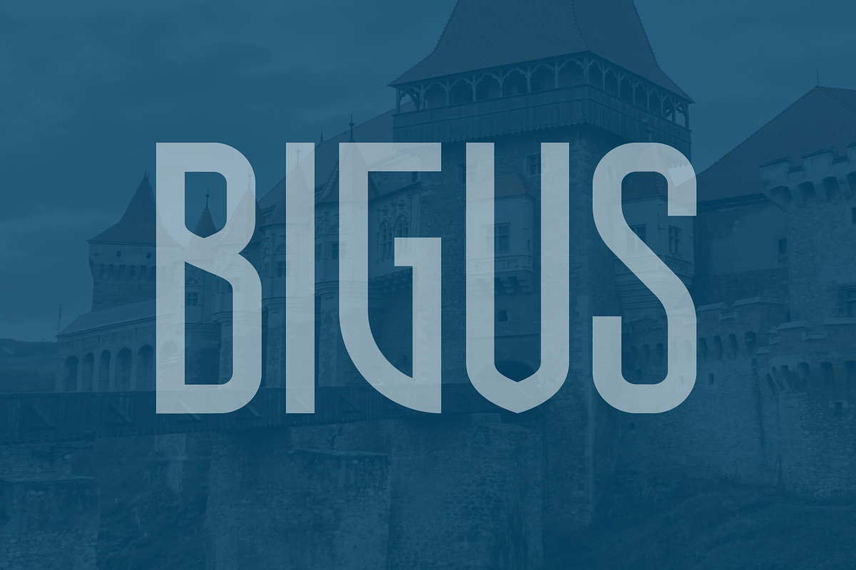 Bigus font family, a Sans Serif Font by vlad.berla (Photo 1 of 7)