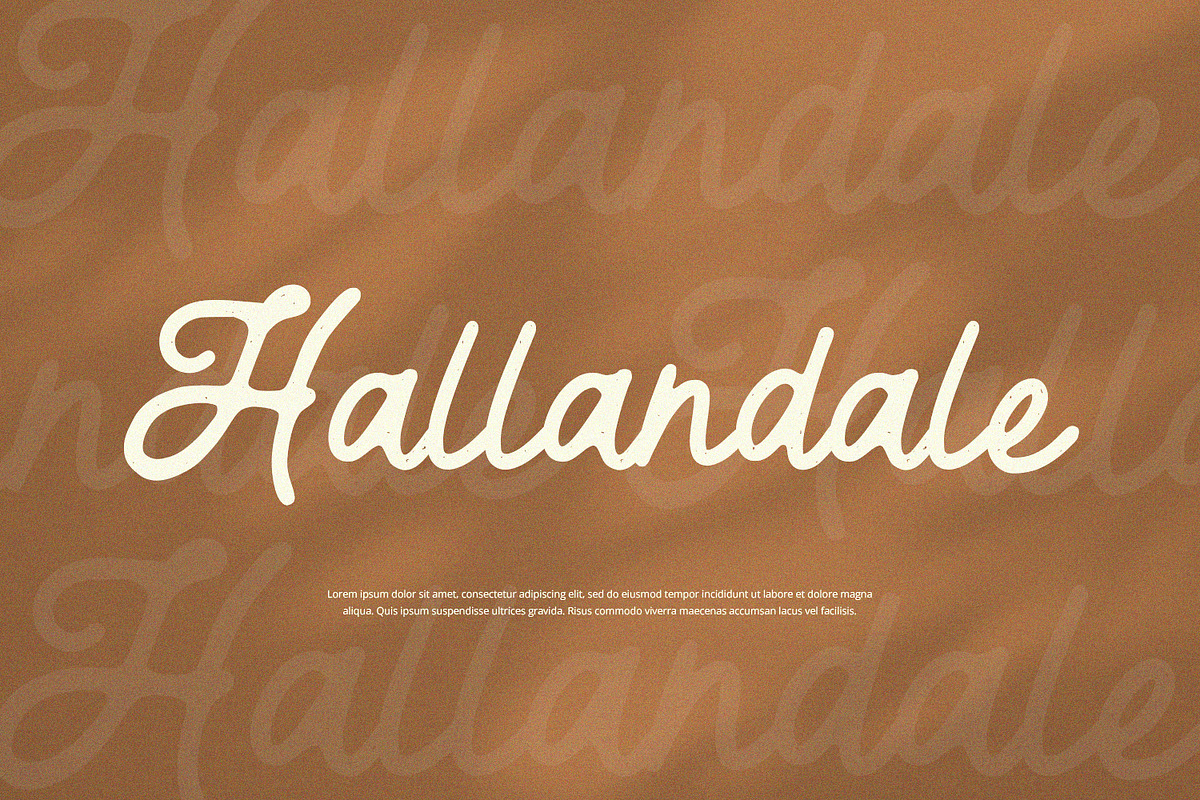 Meridian - Rough Script, a Script Font by Alpaprana (Photo 4 of 9)