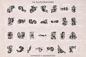 Filigree SVG Illustrations