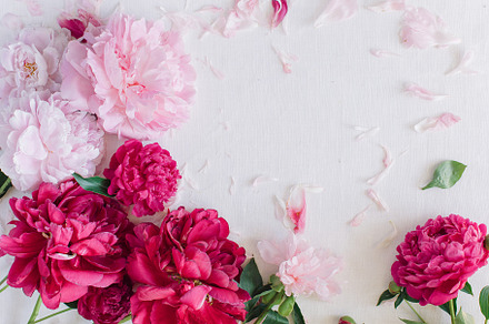Floral background containing styled stock photo, photo bundle, and business, an Arts & Entertainment Photo by Nina Stock Photos