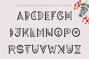 Christmas Bliss. Display Font, a Serif Font by DearLetters (Thumbnail 3 of 7)