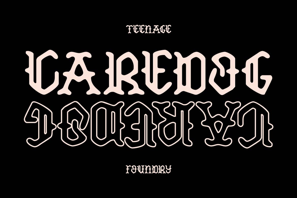 TF Caredog, a Blackletter Font by TeenageFoundry (Photo 1 of 10)