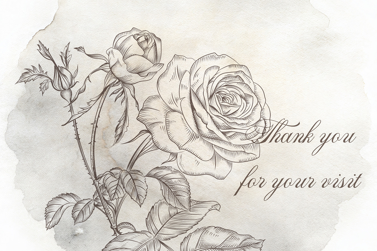Bundle of vector vintage flourishes, an Object Graphic by FleurArt (Photo 19 of 19)