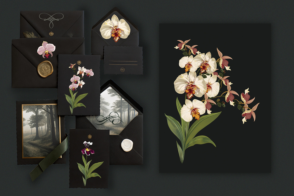 Hand drawn vector orchids, a Decorative Illustration by FleurArt (Photo 6 of 11)