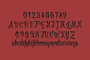 Lovely Madness, a Script Font by Mirco Zett (Thumbnail 3 of 3)