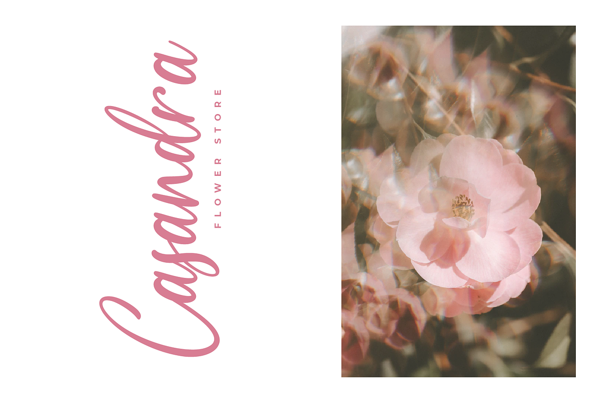 Medalion Calligraphy Font preview 3