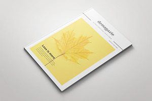 Simple Magazine Template, a Magazine Template by Bookrak Graphic Design