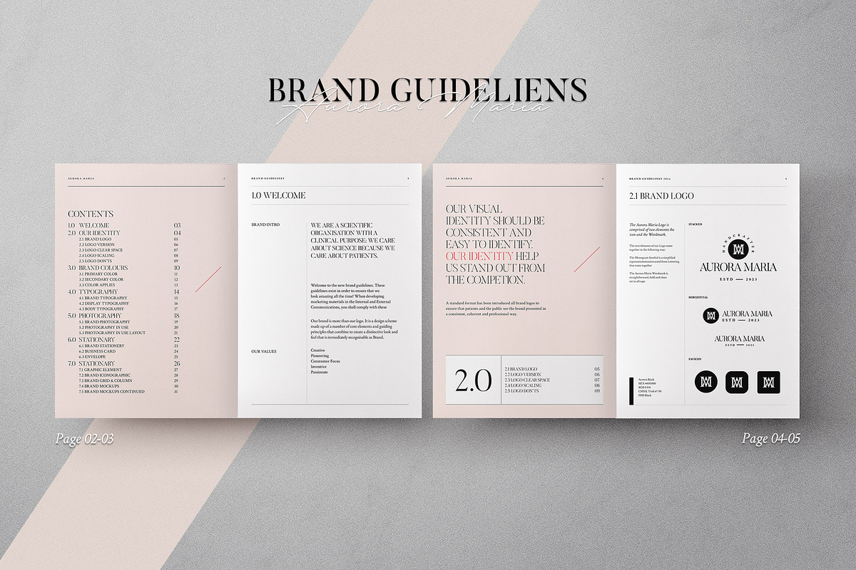 Brand Guidelines, a Brochure Template by Proonty (Photo 2 of 9)