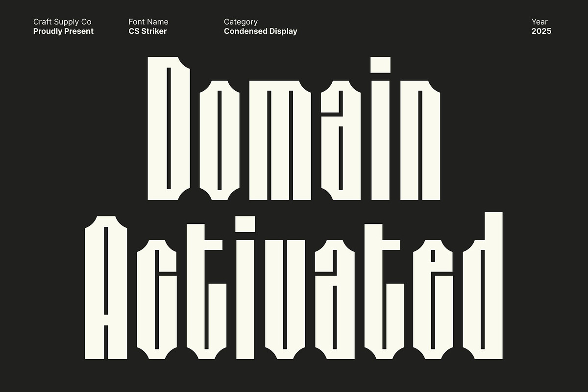 CS Striker – Condensed Display, a Sans Serif Font by Craft Supply Co. (Photo 2 of 8)