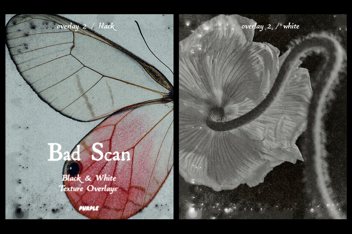 Bad Scan: Black & White Overlays, a Texture Graphic by Purple (Photo 4 of 21)