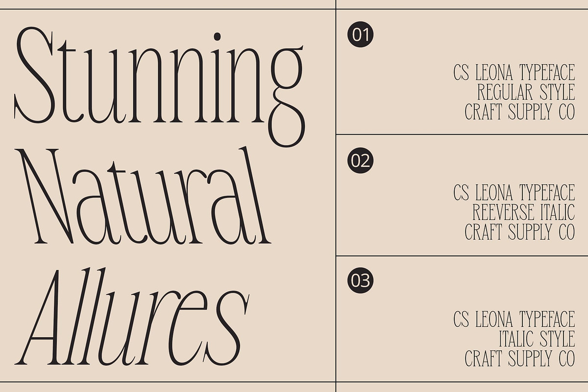 CS Leona – Condensed Font, a Serif Font by Craft Supply Co. (Photo 2 of 8)