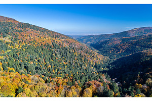 Panorama of the Vosges Mountains in autumn. Alsace, France, a Nature Photo by Leonid Andronov