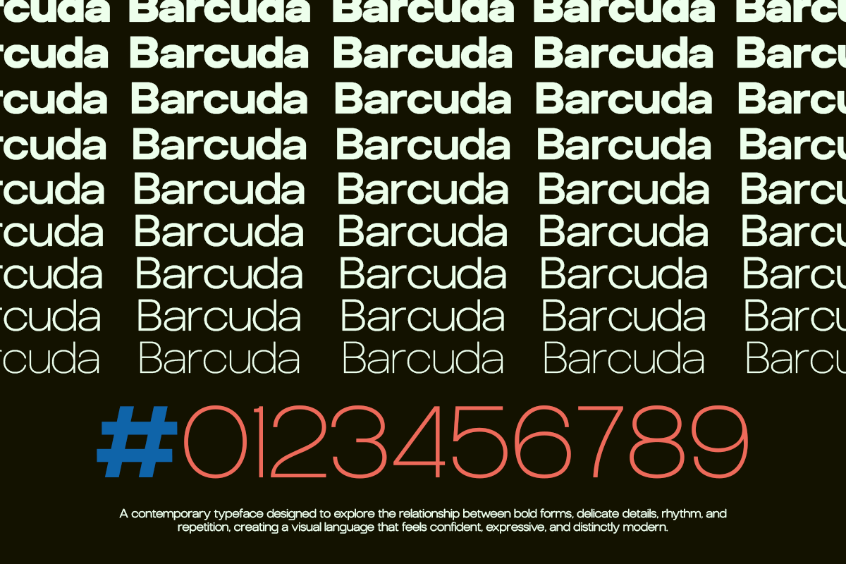 GC Barcuda – New modern Sans, a Sans Serif Font by Glyphonic (Photo 9 of 15)