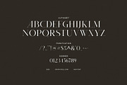 Varkin Elegant Serif Font, a Serif Font by Graphicxell (Thumbnail 8 of 8)