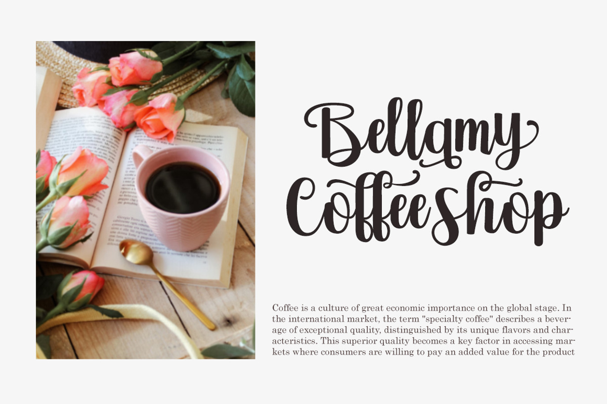 Vebita, a Font by Genesis Lab (Photo 3 of 10)