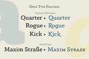 Anaphora - 22 Fonts, a Serif Font by Zetafonts (Thumbnail 10 of 11)