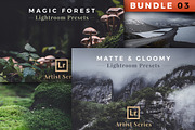Artist Series - Lightroom Bundle 03